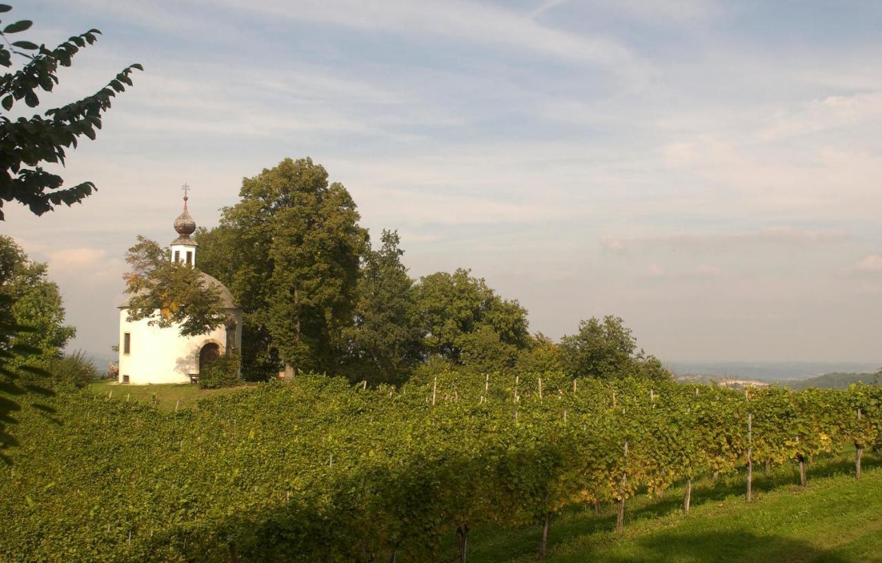 Schloss Kapfenstein Luaran gambar